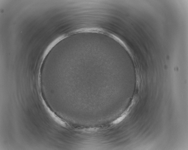 X0000080101050200612081157
