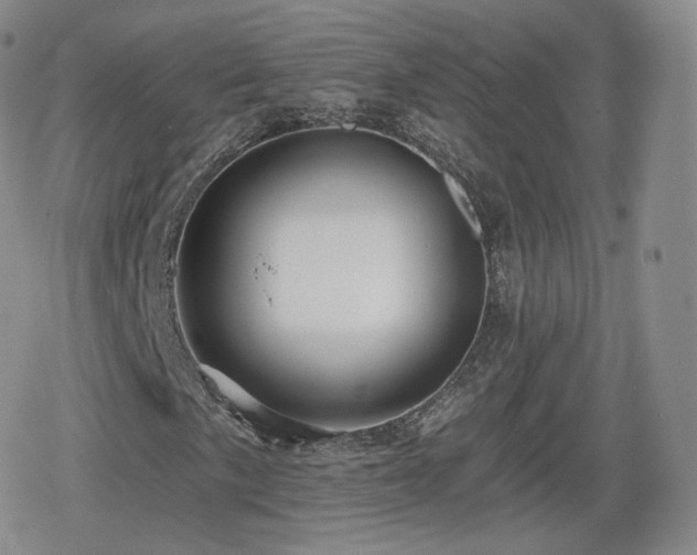 X0000080101057200612081156