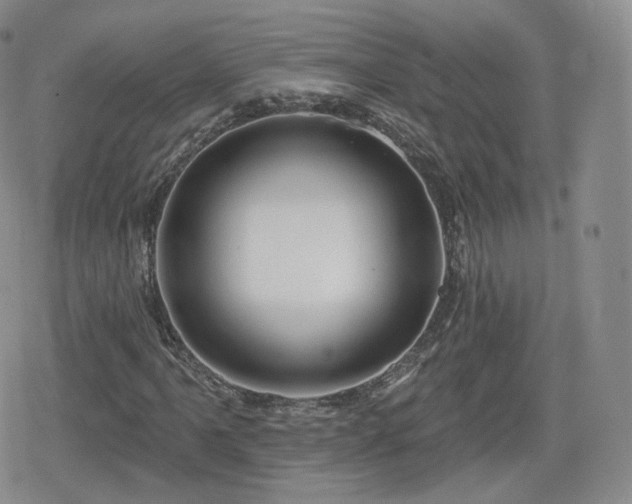X0000080101061200612081156
