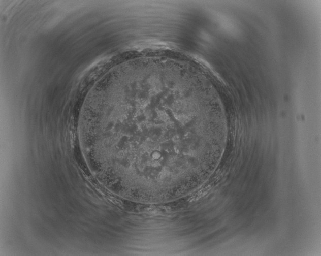 X0000080101063200612081156