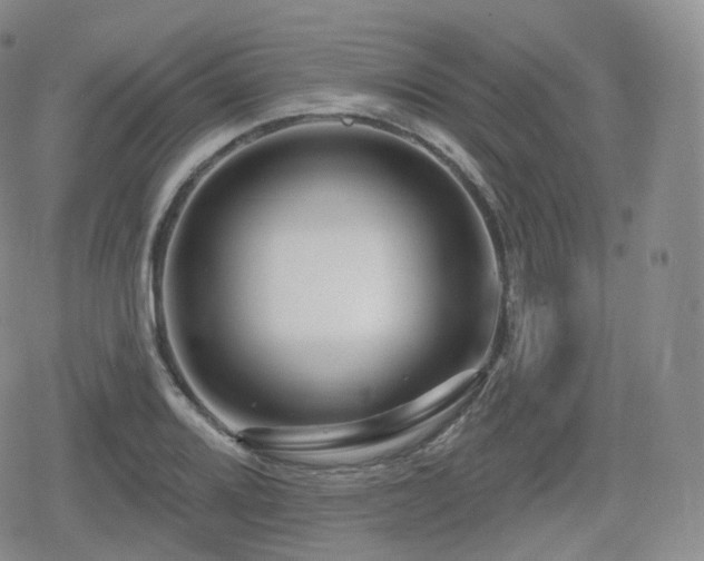 X0000080101080200612081156