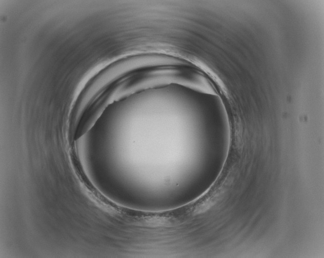 X0000080101085200612081156