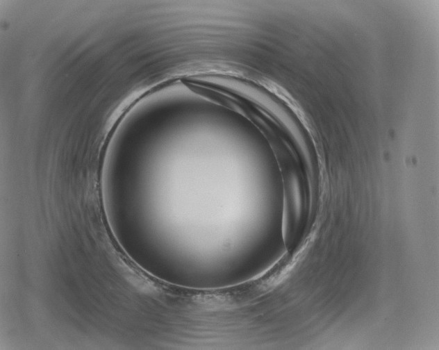 X0000080101089200612081156