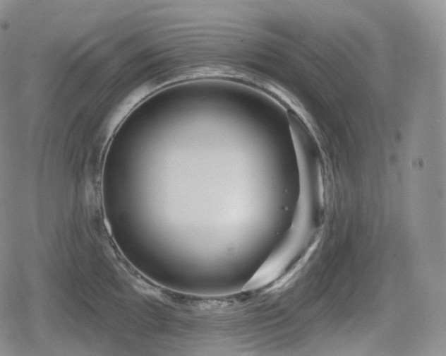 X0000080101097200612081156