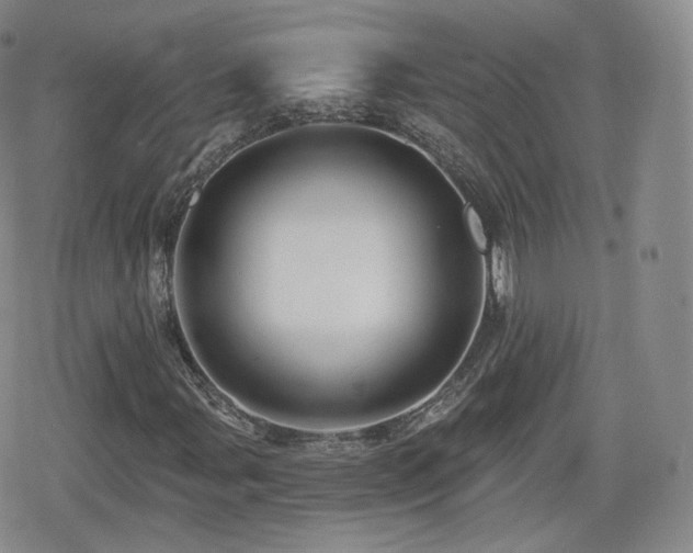 X0000080101107200612081155
