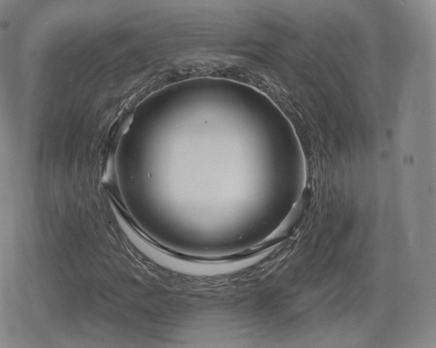 X0000080101109200612081155