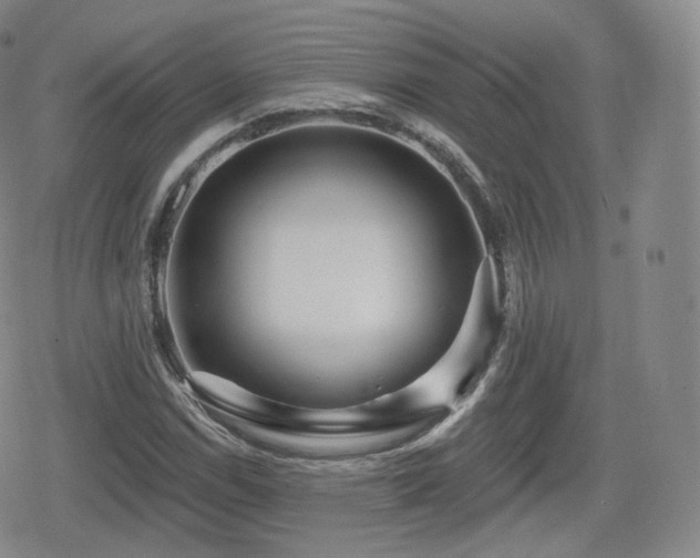 X0000080101114200612081155