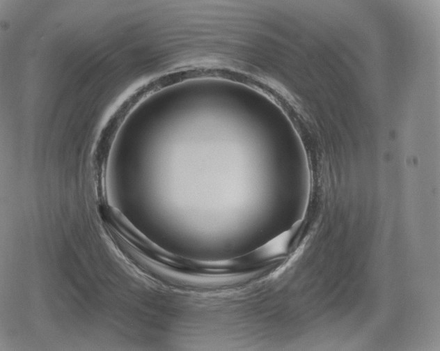 X0000080101118200612081155