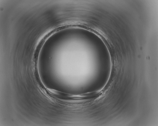 X0000080101119200612081155