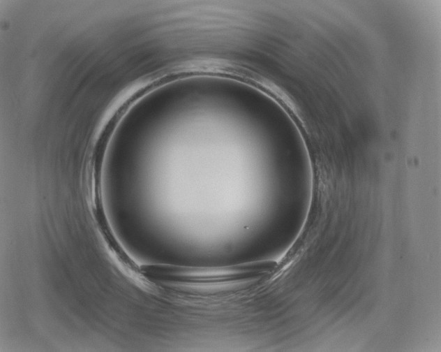 X0000080101131200612081155