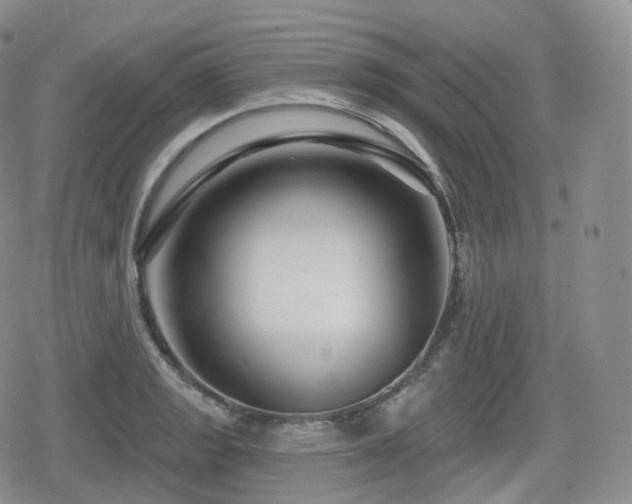 X0000080101133200612081155