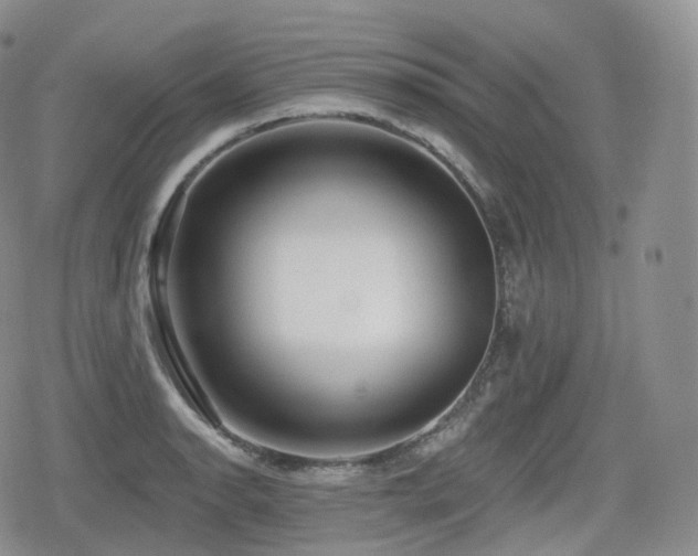 X0000080101134200612081155