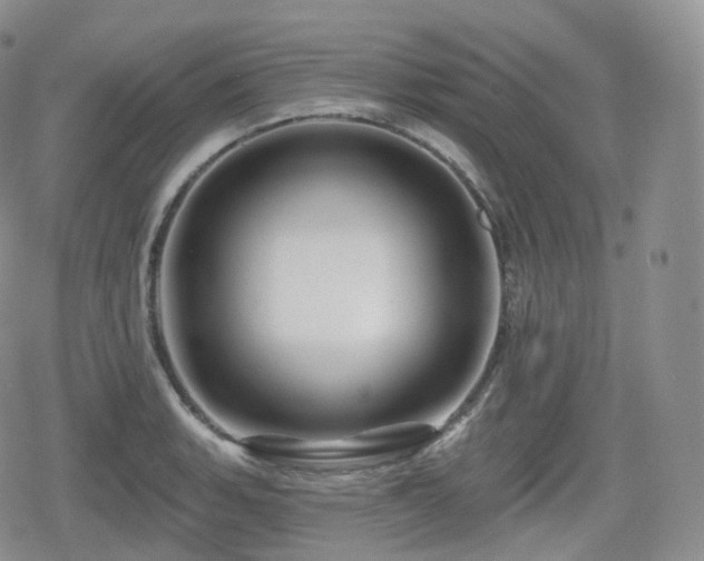 X0000080101135200612081155