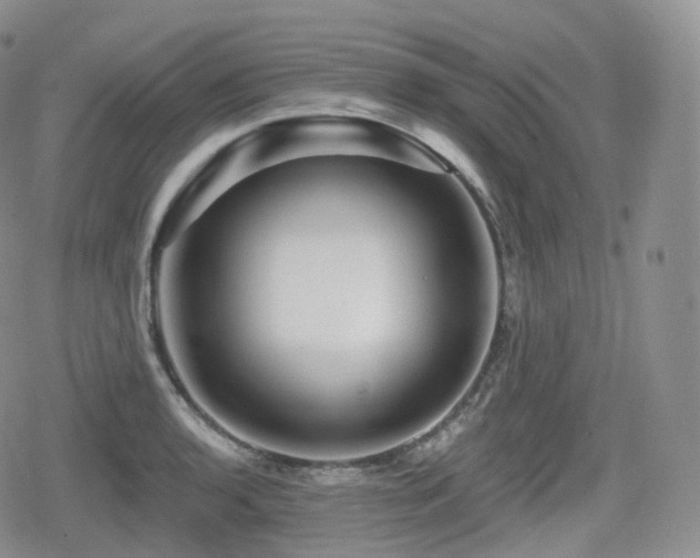 X0000080101136200612081155
