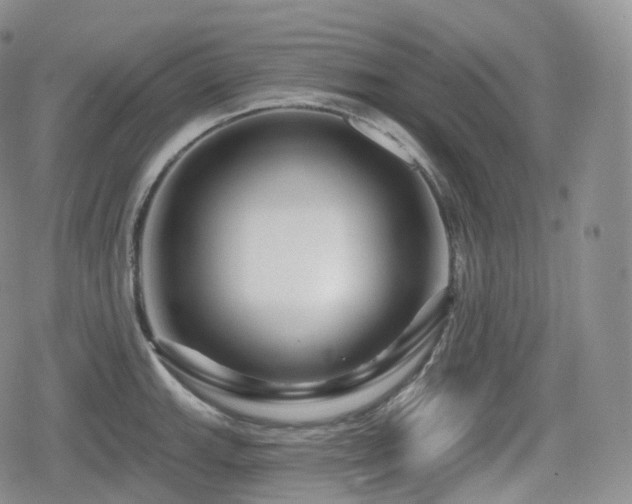 X0000080101143200612081156
