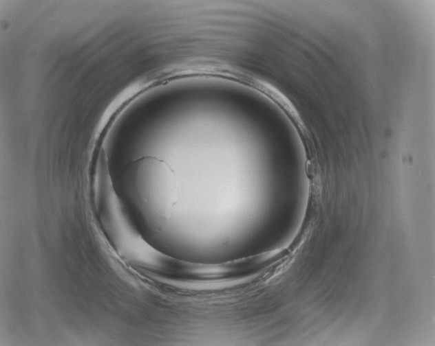 X0000080101146200612081156