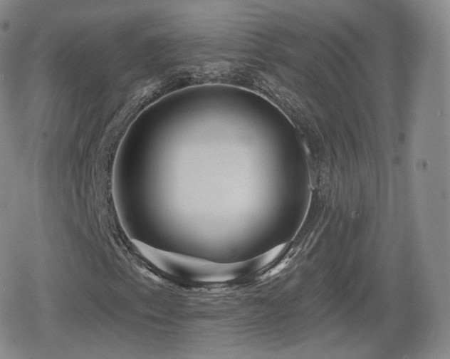 X0000080101153200612081155