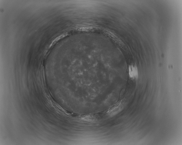 X0000080101155200612081155