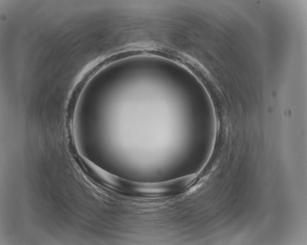 X0000080101168200612081155