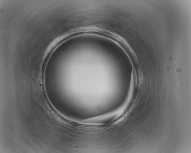 X0000080101176200612081155
