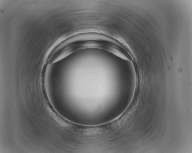 X0000080101181200612081154