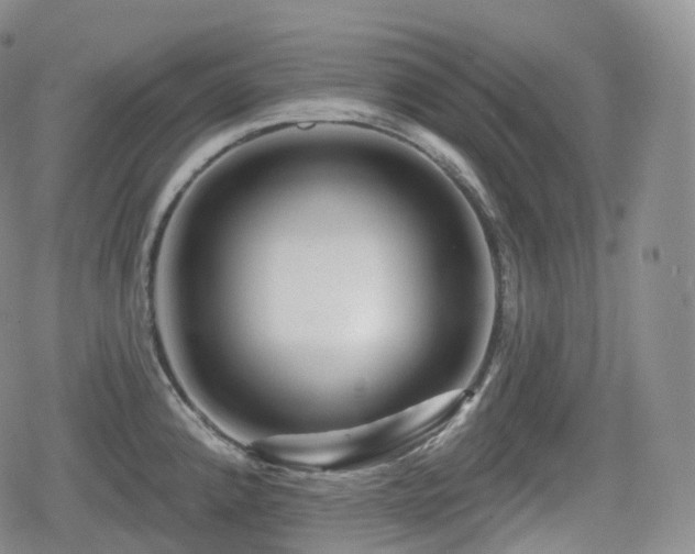 X0000080101192200612081154