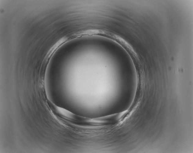 X0000080101193200612081154