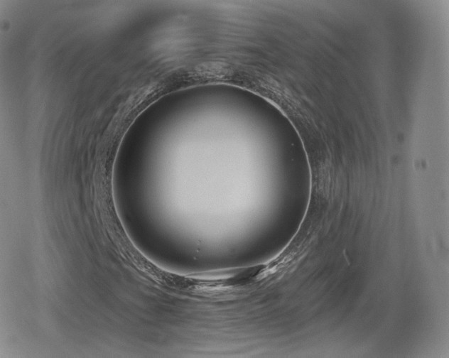 X0000080101201200612081153