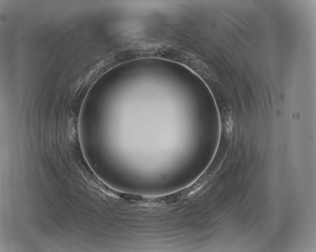 X0000080101204200612081153