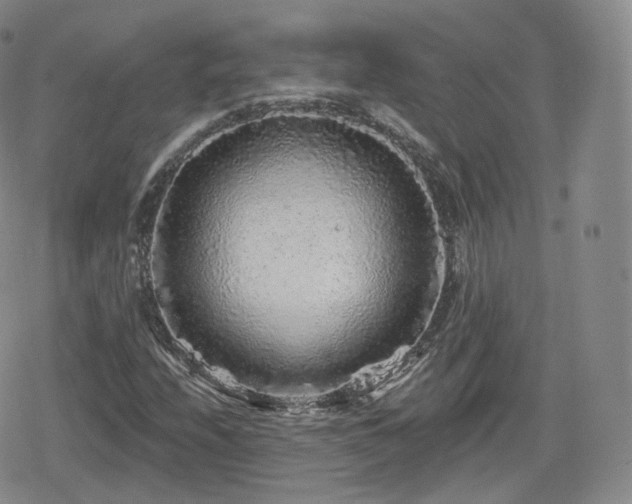 X0000080101208200612081153