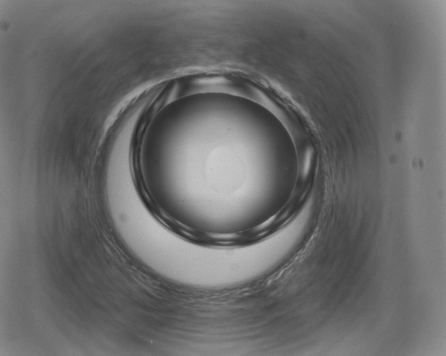 X0000080101214200612081154