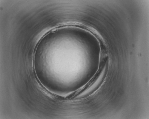 X0000080101228200612081154