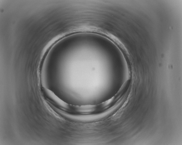 X0000080101238200612081154