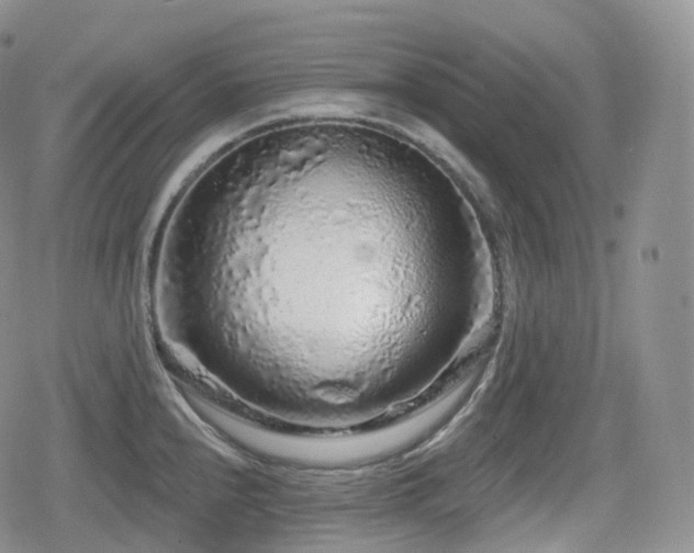 X0000080101240200612081154