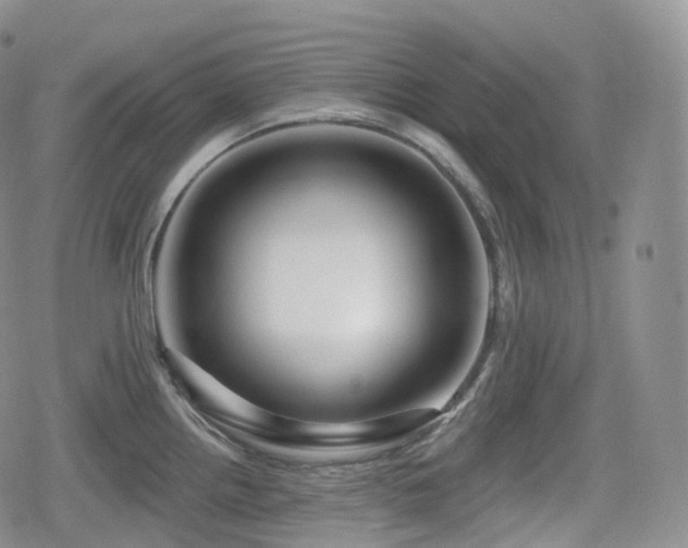 X0000080101242200612081154