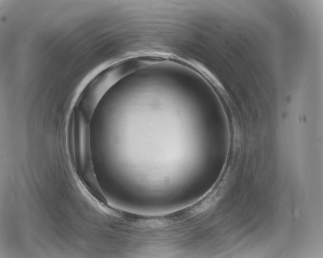 X0000080101246200612081154