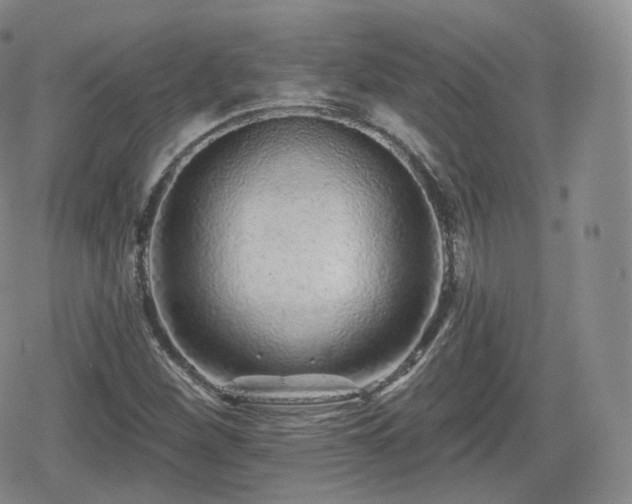 X0000080101260200612081153