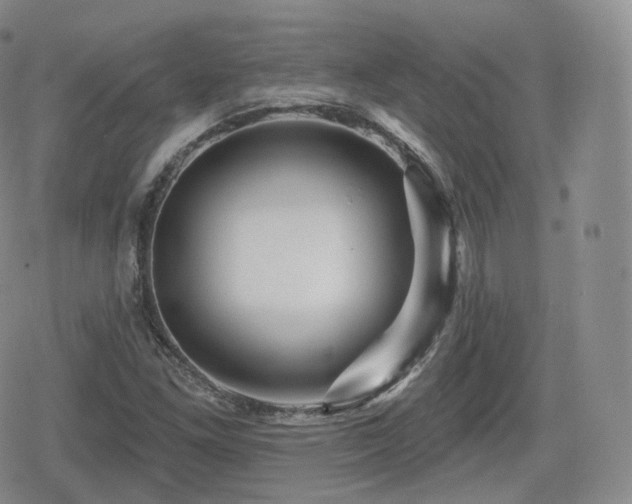 X0000080101261200612081153