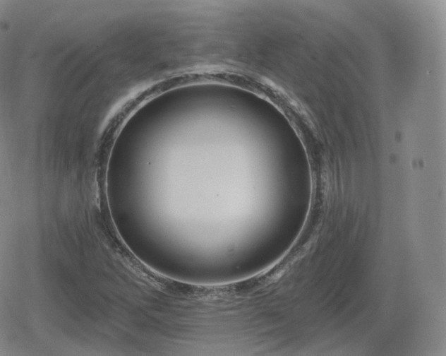 X0000080101262200612081153