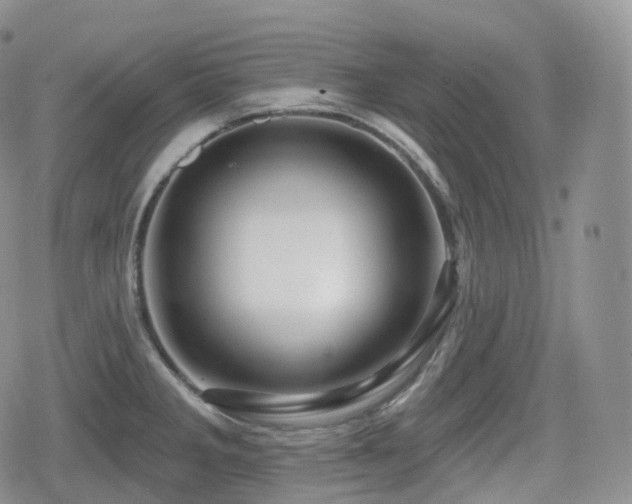 X0000080101285200612081153