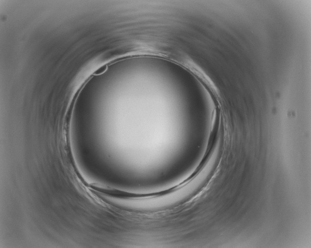 X0000080101292200612081153