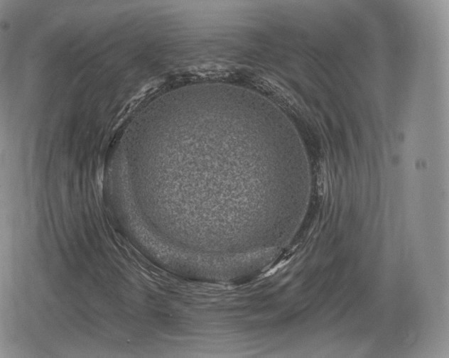 X0000080101298200612081152