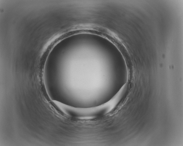 X0000080101312200612081152