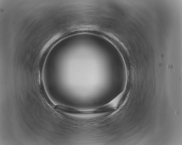 X0000080101317200612081152