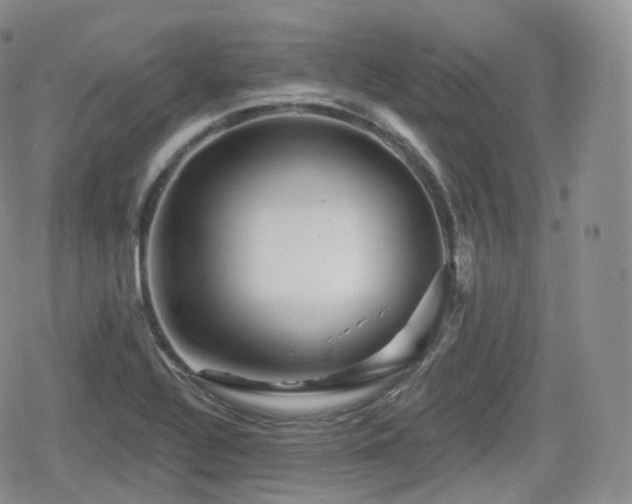 X0000080101320200612081152