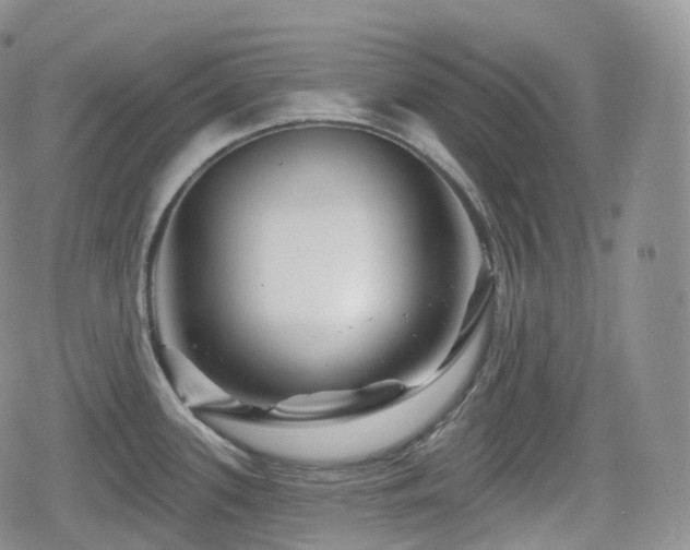 X0000080101339200612081152