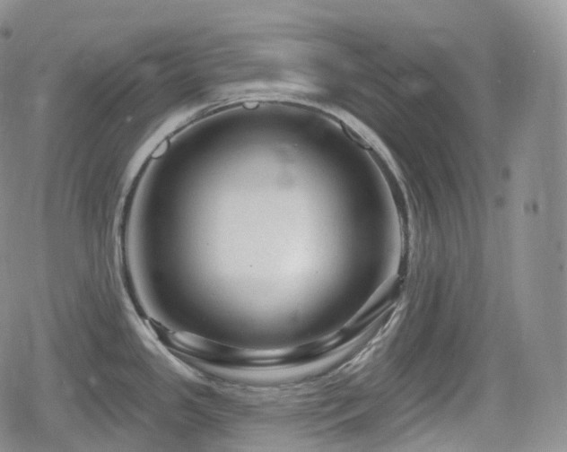 X0000080101341200612081152
