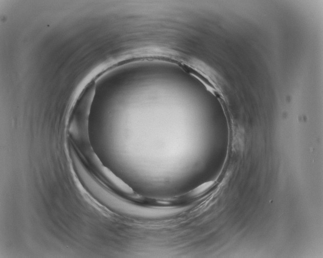 X0000080101342200612081153