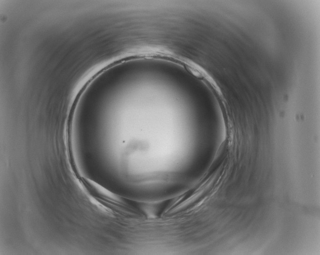 X0000080101343200612081153
