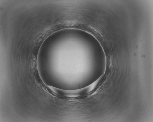 X0000080101349200612081152